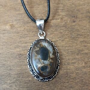 Silver and Brown Pendant Necklace